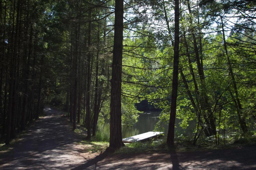 Lakedale Resort At Three Lakes Friday Harbor Εξωτερικό φωτογραφία